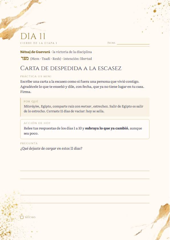 Hoja del día 11